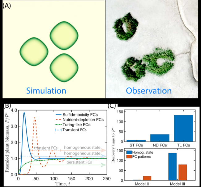 精灵圈-图3 精灵圈-图3