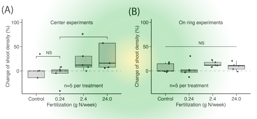 精灵圈-图2 精灵圈-图2