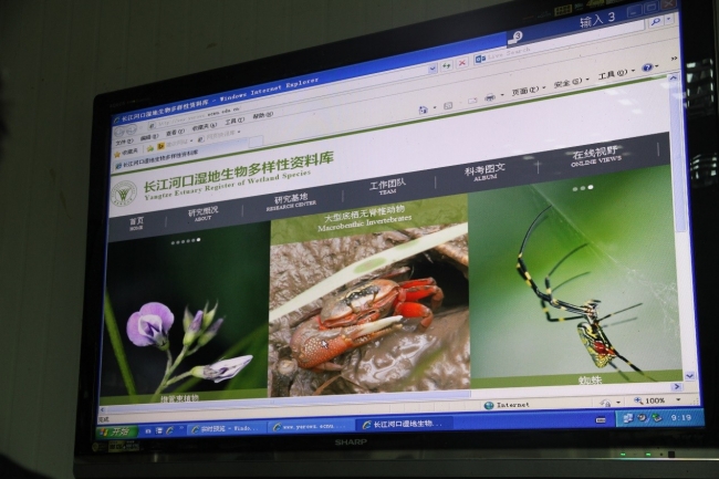 科研成果 科研成果