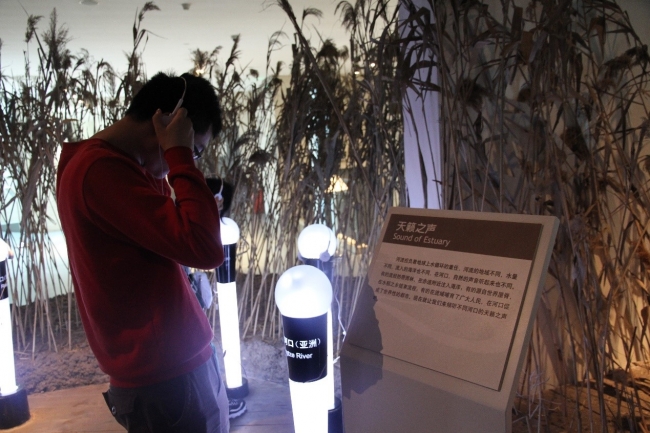 聆听鸟叫声的同学 聆听鸟叫声的同学