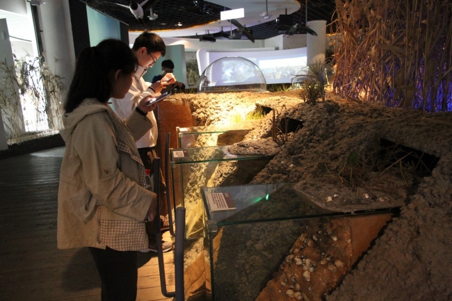 参观长江河口科技馆资源与环境厅3 参观长江河口科技馆资源与环境厅3