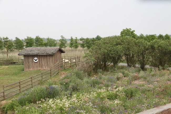 白山羊的羊舍 白山羊的羊舍