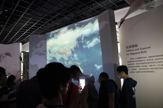 参观长江河口科技馆资源与环境厅2 参观长江河口科技馆资源与环境厅2