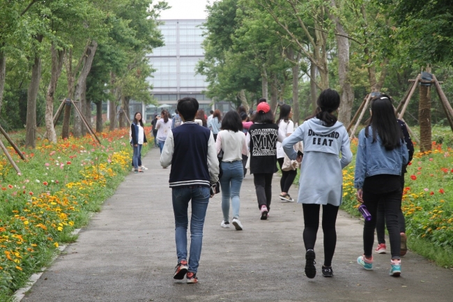 走进东滩湿地公园 走进东滩湿地公园