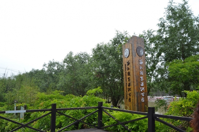 西沙湿地公园 西沙湿地公园