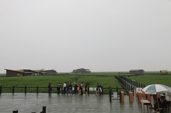 走进东滩鸟类国家级自然保护区1 走进东滩鸟类国家级自然保护区1