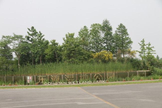 东滩湿地公园 东滩湿地公园