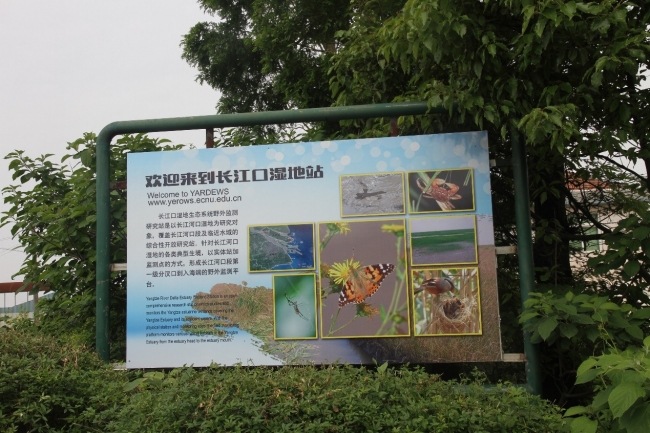 长江口湿地生态系统野外监测研究站•崇西分站 长江口湿地生态系统野外监测研究站•崇西分站