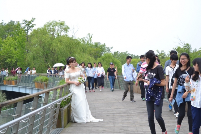漫步长江口湿地栈道 漫步长江口湿地栈道