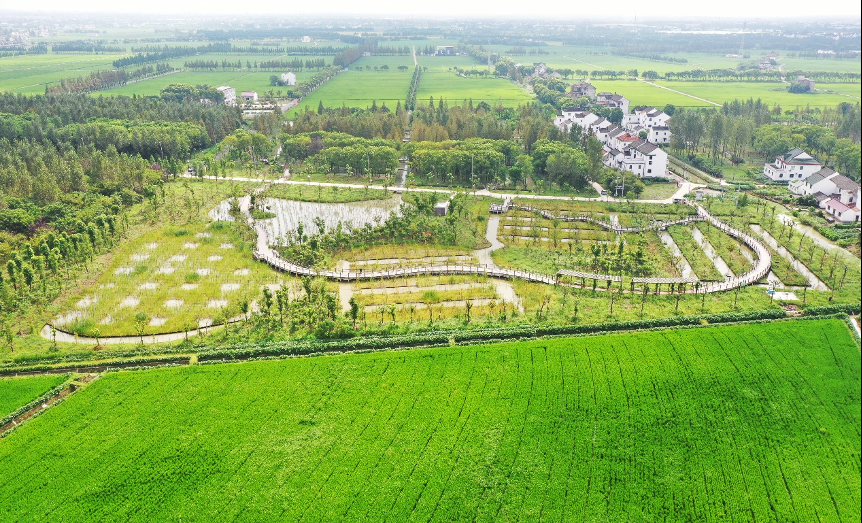 廊下郊野公园二期——友好村农林水乡