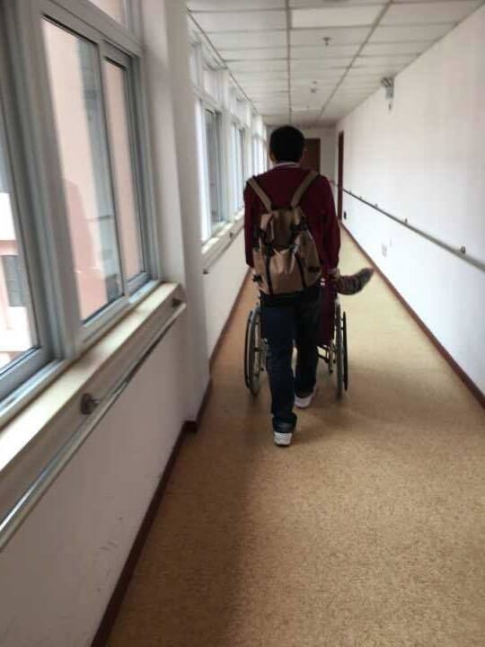 志愿者帮老人推轮椅