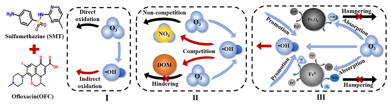 dingjiaqi1 dingjiaqi1