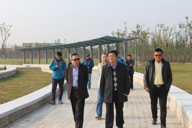 参观鹦鹉洲湿地工程现场1 参观鹦鹉洲湿地工程现场1