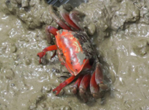 8ddc2e0a59efd3497227fd26f1ff827 8ddc2e0a59efd3497227fd26f1ff827