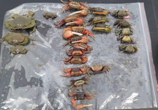 29cfbdcf1832a4b8b77f309a5ec17a7 29cfbdcf1832a4b8b77f309a5ec17a7