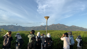 b7499608090af31f955dde41803ad2a b7499608090af31f955dde41803ad2a