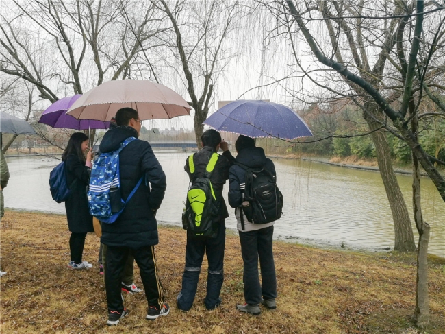 03同学们雨中观鸟