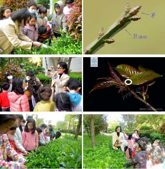 1681120525990 1681120525990