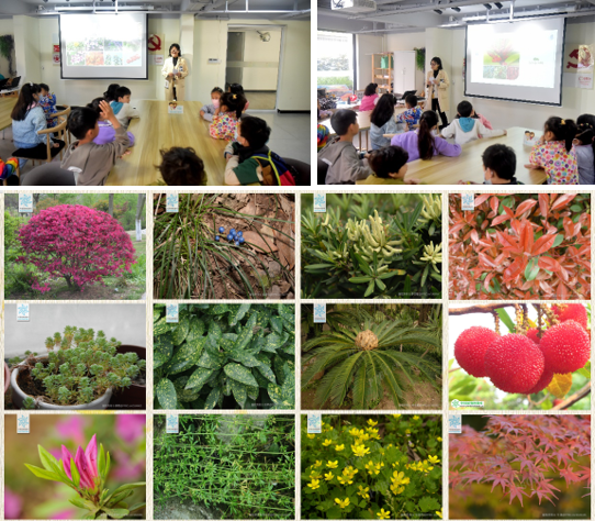 1681120432478 1681120432478