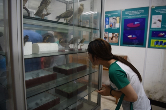 3观察标本的营员