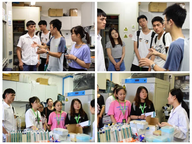 光影魔术手拼图(1) 光影魔术手拼图(1)