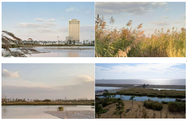 6e2dd2dded0fb3307b99edc8316a1bb