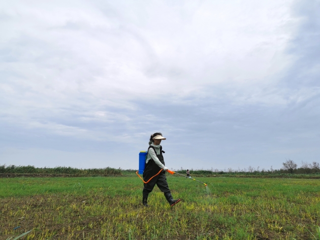 3、体验微生物菌剂喷洒工作
