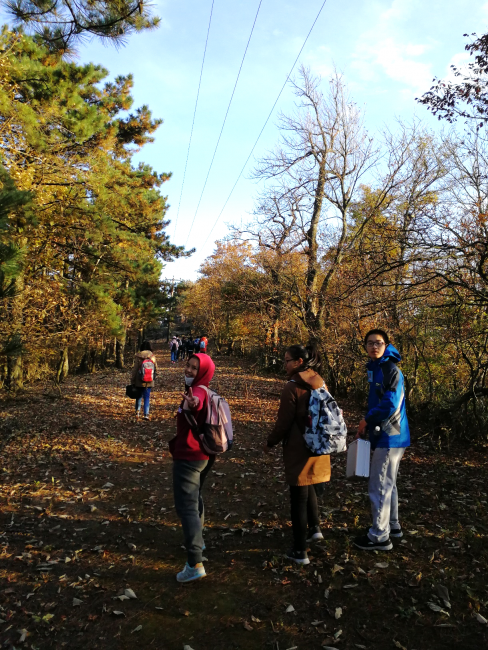 下山沿途美景 下山沿途美景