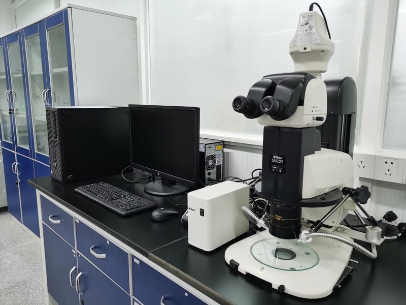 高级体式显微镜-尼康SMZ25...