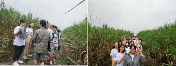 营员参观崇明生态研究院