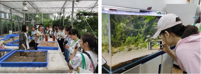 营员参观研究站