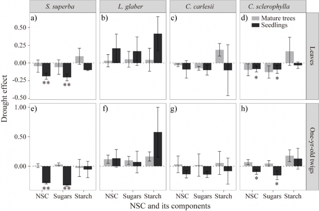 zhangpeipei zhangpeipei